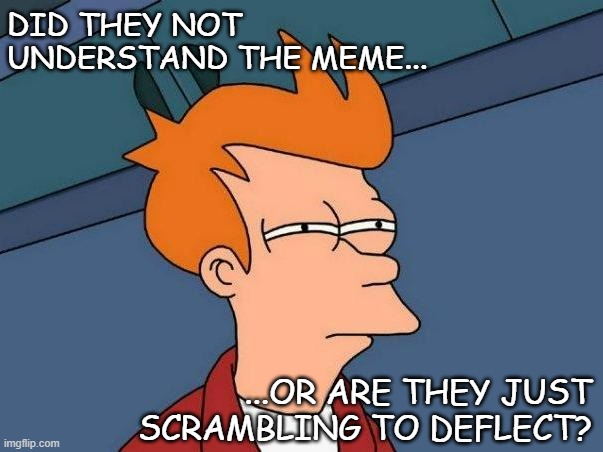 skeptical fry | DID THEY NOT UNDERSTAND THE MEME... ...OR ARE THEY JUST SCRAMBLING TO DEFLECT? | image tagged in skeptical fry | made w/ Imgflip meme maker