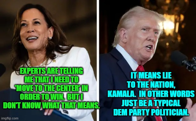 Just lie Kamala.  Or in other words BE Kamala. | IT MEANS LIE TO THE NATION, KAMALA.  IN OTHER WORDS JUST BE A TYPICAL DEM PARTY POLITICIAN. EXPERTS ARE TELLING ME THAT I NEED TO 'MOVE TO THE CENTER' IN ORDER TO WIN.  BUT I DON'T KNOW WHAT THAT MEANS. | image tagged in yep | made w/ Imgflip meme maker