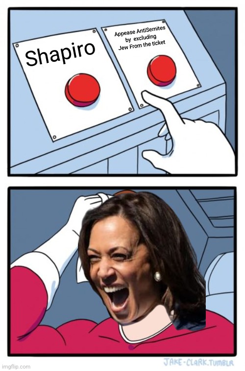 KAMALA DEMOCRAT VP | Appease AntiSemites by  excluding Jew From the ticket; Shapiro | image tagged in memes,two buttons | made w/ Imgflip meme maker