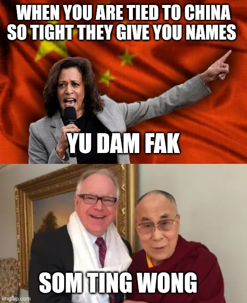 harris and Walz meme | WHEN YOU ARE TIED TO CHINA SO TIGHT THEY GIVE YOU NAMES; YU DAM FAK; SOM TING WONG | image tagged in china | made w/ Imgflip meme maker