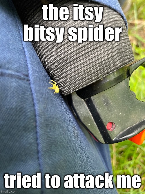 but then he got smashed and i didn’t set him free | the itsy bitsy spider; tried to attack me | made w/ Imgflip meme maker