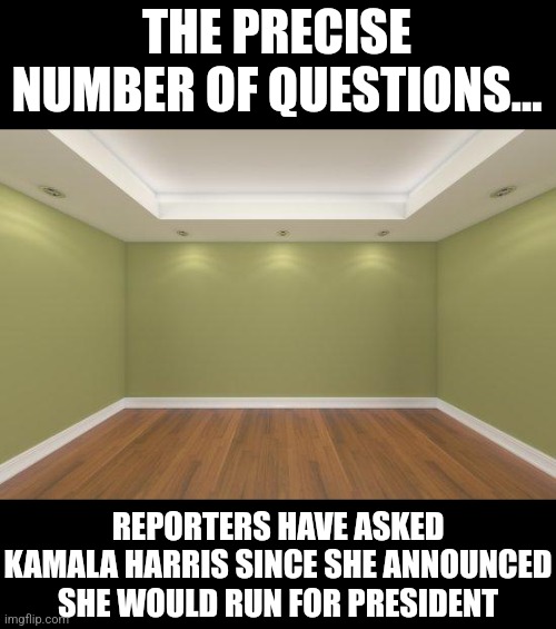 You know NOTHING about Kamala Harris! Nothing! She has provided no answers to a press that has asked zero questions! | THE PRECISE NUMBER OF QUESTIONS... REPORTERS HAVE ASKED KAMALA HARRIS SINCE SHE ANNOUNCED SHE WOULD RUN FOR PRESIDENT | image tagged in kamala harris,questions,liberal logic,biased media,mainstream media,democrats | made w/ Imgflip meme maker