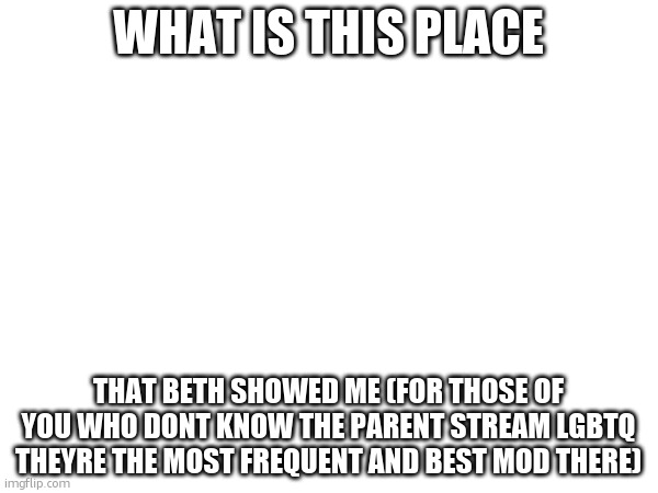 WHAT IS THIS PLACE; THAT BETH SHOWED ME (FOR THOSE OF YOU WHO DONT KNOW THE PARENT STREAM LGBTQ THEYRE THE MOST FREQUENT AND BEST MOD THERE) | made w/ Imgflip meme maker