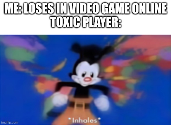 L L L L L L L. l L L L L L L L L L L L L | ME: LOSES IN VIDEO GAME ONLINE
TOXIC PLAYER: | image tagged in yakko inhale | made w/ Imgflip meme maker