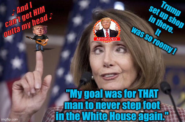 She's Just A Klingon Hack That Glommed Onto Trump | ♪ And I can't get HIM outta my head ♪; Trump set up shop in there. 
It was so roomy ! "My goal was for THAT man to never step foot in the White House again." | image tagged in nancy pelosi,political meme,politics,funny memes,funny | made w/ Imgflip meme maker