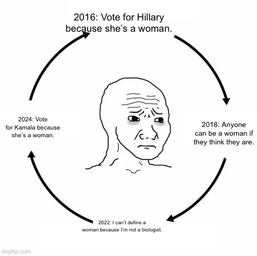 To Everything, Turn! Turn! Turn! | 2016: Vote for Hillary because she’s a woman. 2018: Anyone can be a woman if they think they are. 2024: Vote for Kamala because she’s a woman. 2022: I can’t define a woman because I’m not a biologist. | image tagged in sad wojak cycle | made w/ Imgflip meme maker