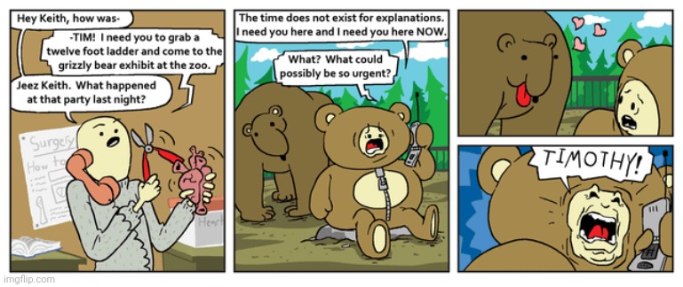 Grizzly bear | image tagged in zoo,bears,bear,grizzly bear,comics,comics/cartoons | made w/ Imgflip meme maker