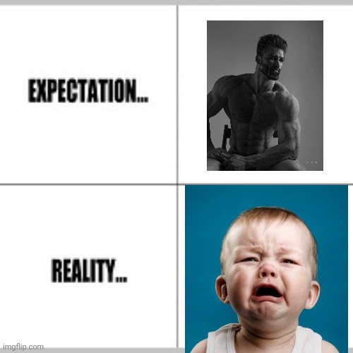 Expectation vs Reality | image tagged in expectation vs reality | made w/ Imgflip meme maker