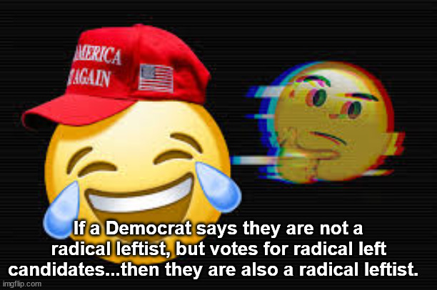 Radical Democrat 2024 | If a Democrat says they are not a radical leftist, but votes for radical left candidates...then they are also a radical leftist. | image tagged in vote 2024,democrat radical,leftist,vote democrat,kamala harris,walz | made w/ Imgflip meme maker