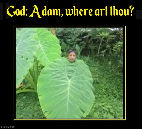 After the Fall... | image tagged in vince vance,god,adam,the garden of eden,memes,the bible | made w/ Imgflip meme maker