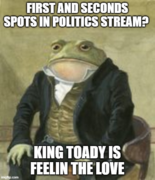 Colonel Toad | FIRST AND SECONDS SPOTS IN POLITICS STREAM? KING TOADY IS FEELIN THE LOVE | image tagged in colonel toad | made w/ Imgflip meme maker