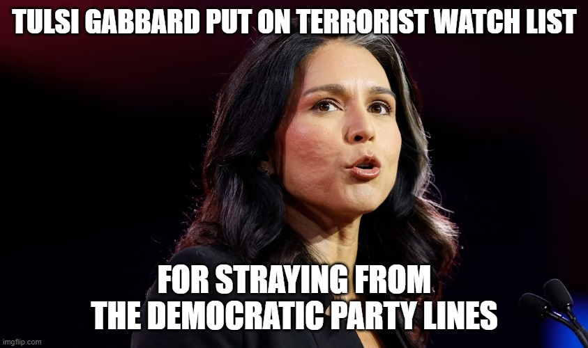 yea, the democrats sure don't weaponize the feds against political opponents.... | TULSI GABBARD PUT ON TERRORIST WATCH LIST; FOR STRAYING FROM THE DEMOCRATIC PARTY LINES | image tagged in stupid liberals,funny memes,political humor,political meme,donald trump approves,truth | made w/ Imgflip meme maker