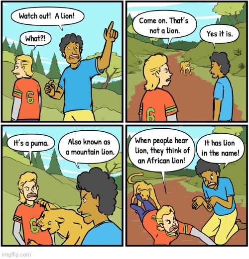 Puma | image tagged in lions,lion,comics/cartoons,comics,cougar,puma | made w/ Imgflip meme maker