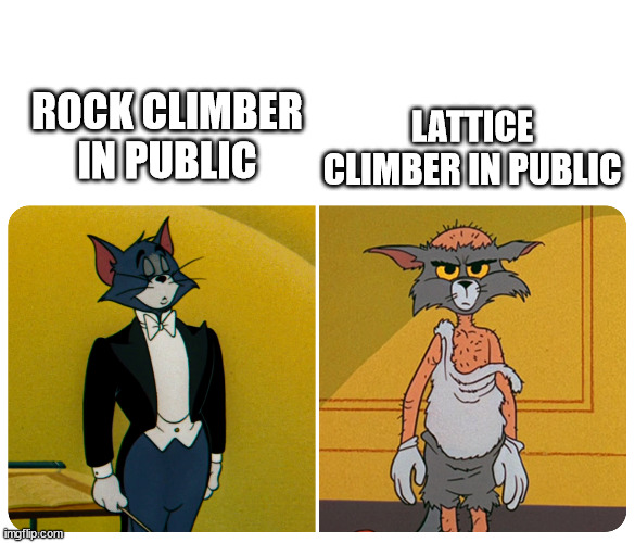 Climbing, the difference | LATTICE CLIMBER IN PUBLIC; ROCK CLIMBER IN PUBLIC | image tagged in climbing,lattice climbing,tom,jerry,meme | made w/ Imgflip meme maker