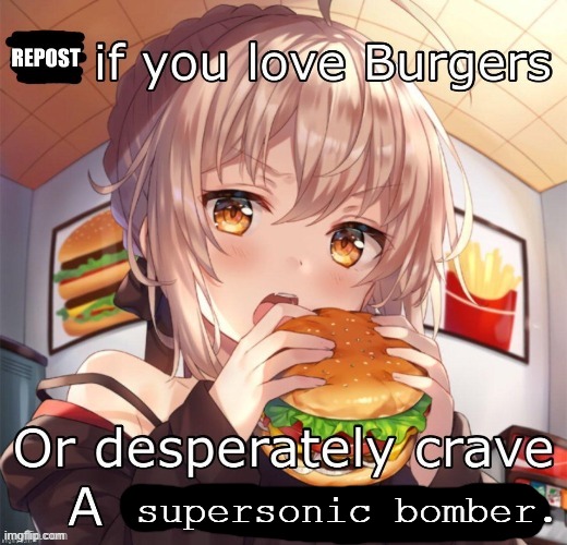 Repost if you love burgers | supersonic bomber. | image tagged in repost if you love burgers | made w/ Imgflip meme maker