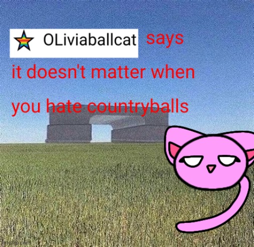 Oliviaballcat | image tagged in cats,imgflip | made w/ Imgflip meme maker