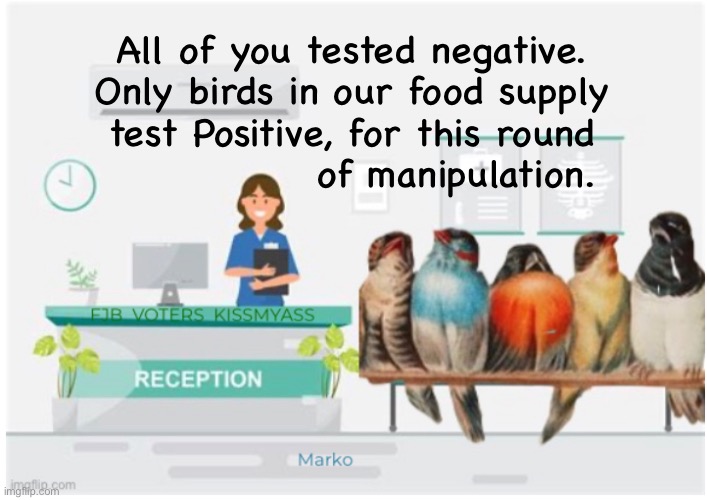 Gaming the Game Birds | All of you tested negative.
Only birds in our food supply
test Positive, for this round
              of manipulation. | image tagged in memes,another round of bullshit,natural bird flu doesnt infect humans,manmade bs does,fjb voters kissmyass | made w/ Imgflip meme maker