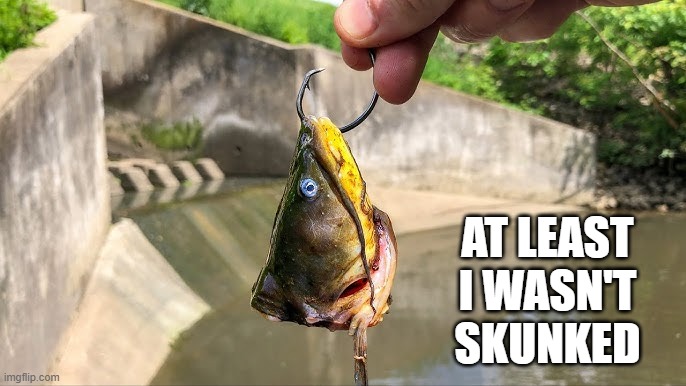 memes by Brad - I went fishing and didn't get skunked | AT LEAST I WASN'T SKUNKED | image tagged in funny,sports,fishing,funny meme,humor,fish | made w/ Imgflip meme maker