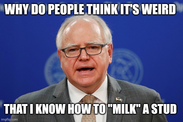 TIM WALZ LIKES THOSE STALLIONS | WHY DO PEOPLE THINK IT'S WEIRD; THAT I KNOW HOW TO "MILK" A STUD | image tagged in tim walz calls things weird,horse,democrats,politics | made w/ Imgflip meme maker