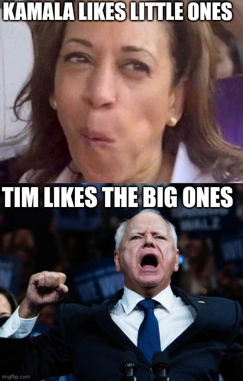 THEY BOTH GOT WHERE THEY ARE, DOING THE SAME THING | KAMALA LIKES LITTLE ONES; TIM LIKES THE BIG ONES | image tagged in kamala harris,tim walz,vice president,politics | made w/ Imgflip meme maker