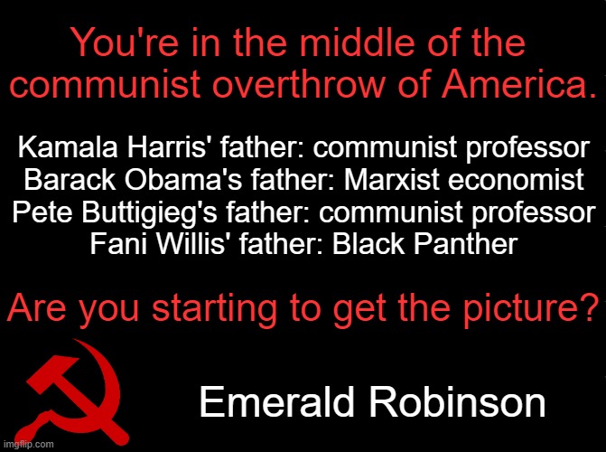 Emerald Robinson ~~ an American Gem | You're in the middle of the 
communist overthrow of America. Kamala Harris' father: communist professor
Barack Obama's father: Marxist economist
Pete Buttigieg's father: communist professor
Fani Willis' father: Black Panther; Are you starting to get the picture? Emerald Robinson | image tagged in politics,communist,takeover,the truth,facts,kamala harris barack obama | made w/ Imgflip meme maker