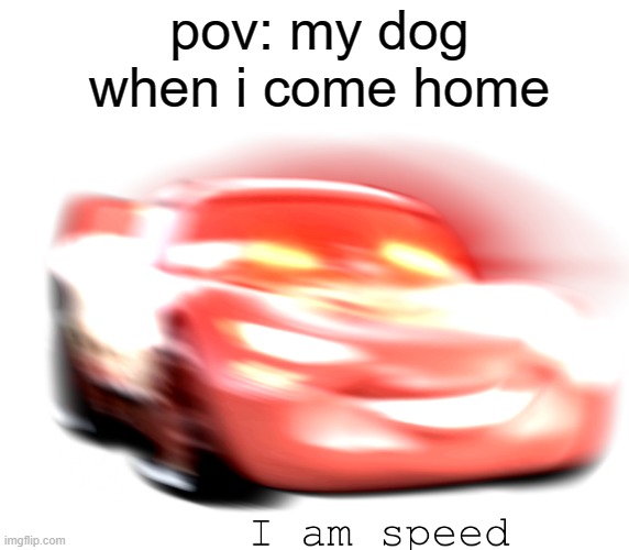 I Am Speed | pov: my dog when i come home | image tagged in i am speed | made w/ Imgflip meme maker