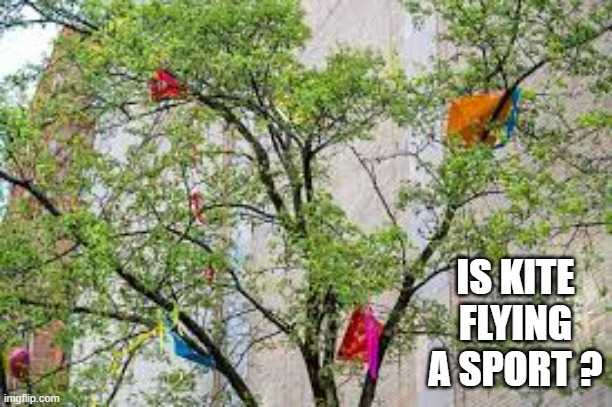 memes by Brad - Is kite flying a sport? | IS KITE FLYING A SPORT ? | image tagged in funny,kite,funny meme,humor,sports,memes | made w/ Imgflip meme maker