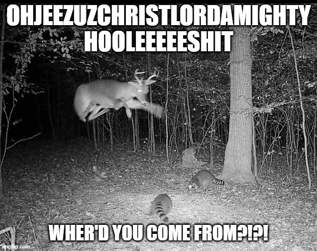 OHJEEZUZCHRISTLORDAMIGHTY
HOOLEEEEESHIT; WHER'D YOU COME FROM?!?! | made w/ Imgflip meme maker