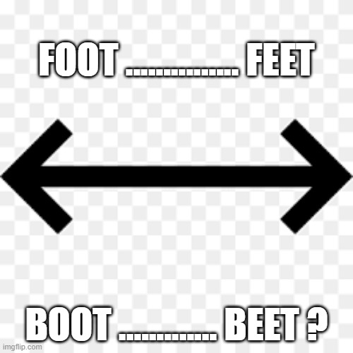 memes by Brad - English is weird. Play on words. | FOOT ............... FEET; BOOT ............. BEET ? | image tagged in funny,fun,play on words,english,feet,humor | made w/ Imgflip meme maker