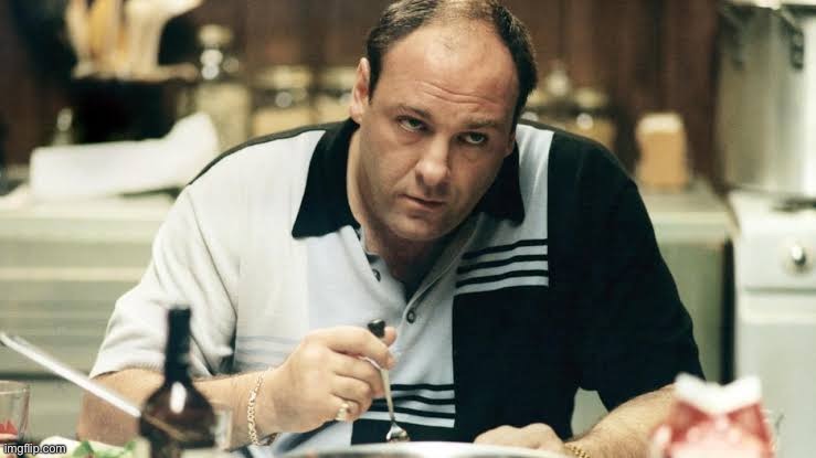 image tagged in tony soprano | made w/ Imgflip meme maker