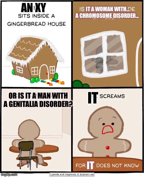 These Olympics Really Suck | IT A WOMAN WITH... A CHROMOSOME DISORDER... AN XY; OR IS IT A MAN WITH A GENITALIA DISORDER? IT; IT | image tagged in gingerbread man | made w/ Imgflip meme maker