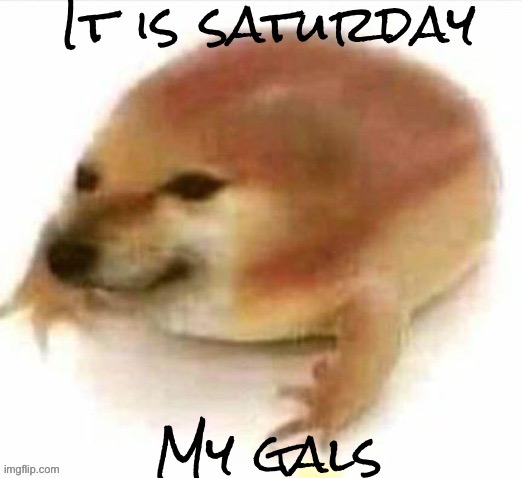 It is saturday | image tagged in it is saturday | made w/ Imgflip meme maker