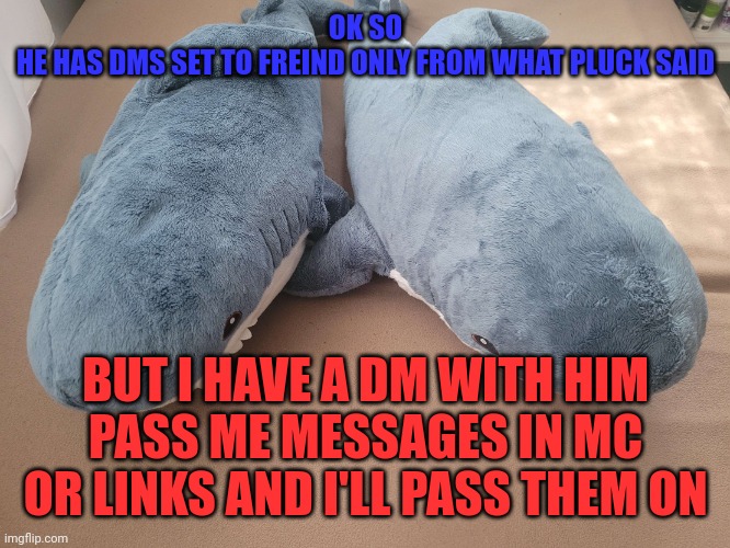 My brother's and my blahaj | OK SO
HE HAS DMS SET TO FREIND ONLY FROM WHAT PLUCK SAID; BUT I HAVE A DM WITH HIM
PASS ME MESSAGES IN MC OR LINKS AND I'LL PASS THEM ON | image tagged in my brother's and my blahaj | made w/ Imgflip meme maker