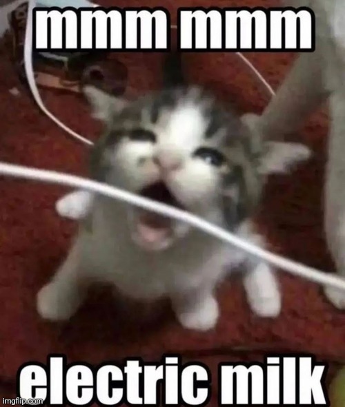 Gotta love that electric milk | image tagged in milk,cat,kitten | made w/ Imgflip meme maker