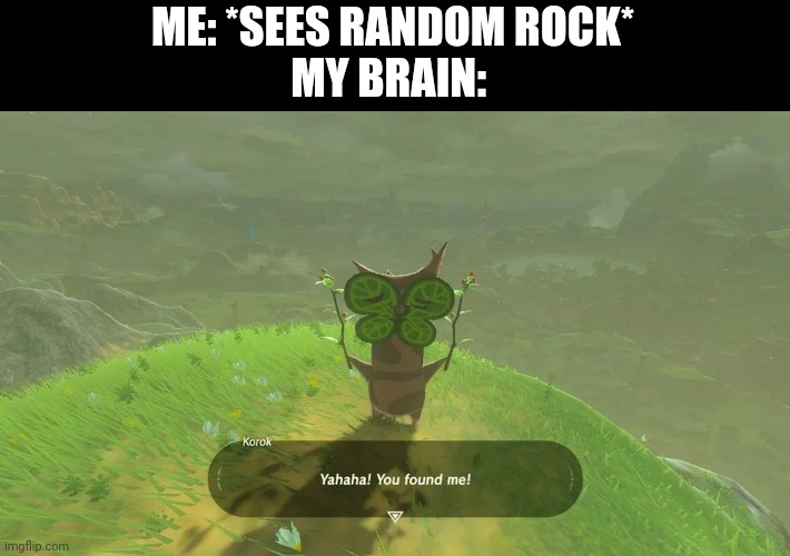 Yahahaha! | ME: *SEES RANDOM ROCK*
MY BRAIN: | image tagged in yahahaha | made w/ Imgflip meme maker