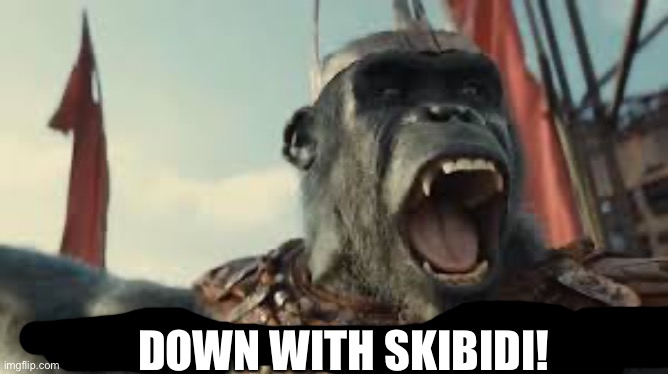 What A Wonderful Day! | DOWN WITH SKIBIDI! | image tagged in what a wonderful day | made w/ Imgflip meme maker