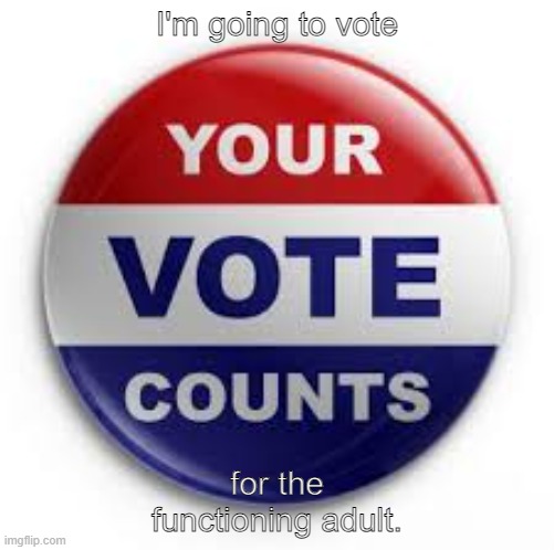 functioning adult | I'm going to vote; for the functioning adult. | image tagged in vote | made w/ Imgflip meme maker