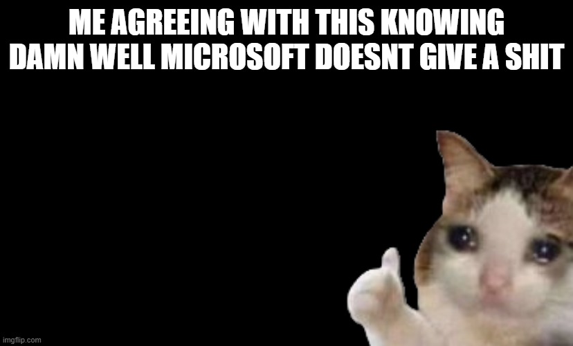 ME AGREEING WITH THIS KNOWING DAMN WELL MICROSOFT DOESNT GIVE A SHIT | made w/ Imgflip meme maker