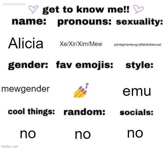 get to know me but better | Alicia; Xe/Xir/Xim/Mew; pansigmamewgyattskibidisexual; 💅; emu; mewgender; no; no; no | image tagged in get to know me but better | made w/ Imgflip meme maker