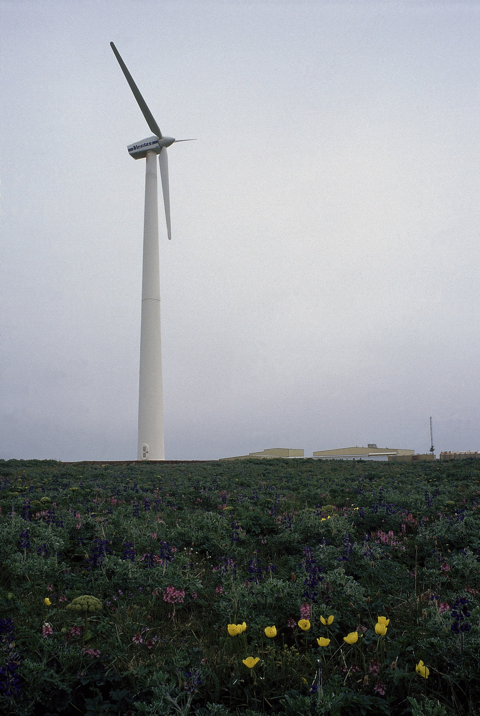 Wind Turbine Blank Meme Template