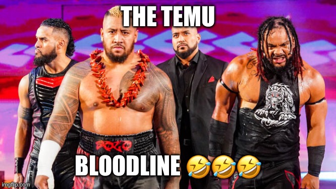 Wwe | THE TEMU; BLOODLINE 🤣🤣🤣 | image tagged in wwe | made w/ Imgflip meme maker