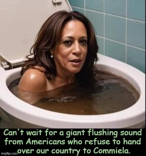 America was never meant to be a communist country | image tagged in politics,kamala harris,communism,flush,radical,make america great again | made w/ Imgflip meme maker