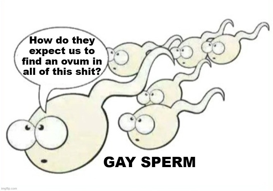 Gender Confusion: You are here because your dad wasn't queer. | image tagged in gender confusion,gender dysphoria,liberalism,mental illness,stupid people be like,woke | made w/ Imgflip meme maker