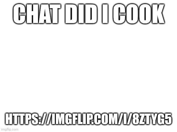 CHAT DID I COOK; HTTPS://IMGFLIP.COM/I/8ZTYG5 | made w/ Imgflip meme maker