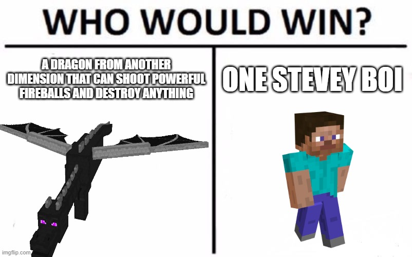 I think we all know.. | A DRAGON FROM ANOTHER DIMENSION THAT CAN SHOOT POWERFUL FIREBALLS AND DESTROY ANYTHING; ONE STEVEY BOI | image tagged in memes,who would win,funny,minecraft | made w/ Imgflip meme maker