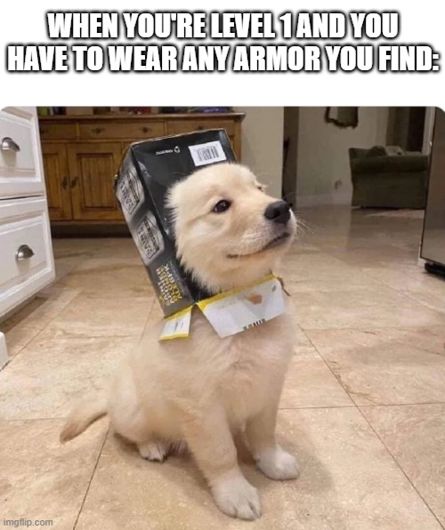 Level 1 Armor be like: | WHEN YOU'RE LEVEL 1 AND YOU HAVE TO WEAR ANY ARMOR YOU FIND: | image tagged in armored dog,memes,funny | made w/ Imgflip meme maker