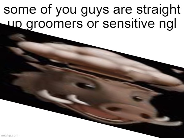 some of you guys are straight up groomers or sensitive ngl | made w/ Imgflip meme maker