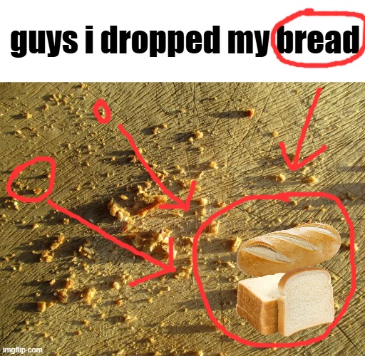 guys i dropped my bread | made w/ Imgflip meme maker