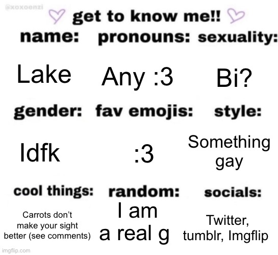 UPDATED HAHAHAHHAHAH (I ran out of meds) | Lake; Any :3; Bi? Something gay; :3; Idfk; I am a real g; Twitter, tumblr, Imgflip; Carrots don’t make your sight better (see comments) | image tagged in get to know me but better | made w/ Imgflip meme maker