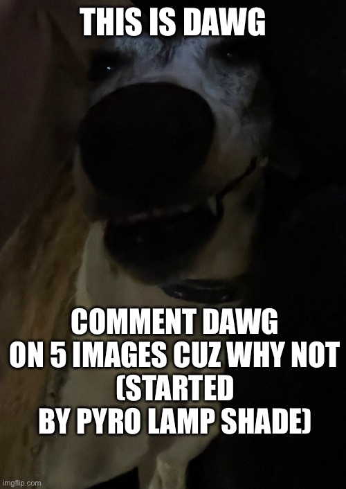 THIS IS DAWG COMMENT DAWG ON 5 IMAGES CUZ WHY NOT
(STARTED BY PYRO LAMP SHADE) | made w/ Imgflip meme maker